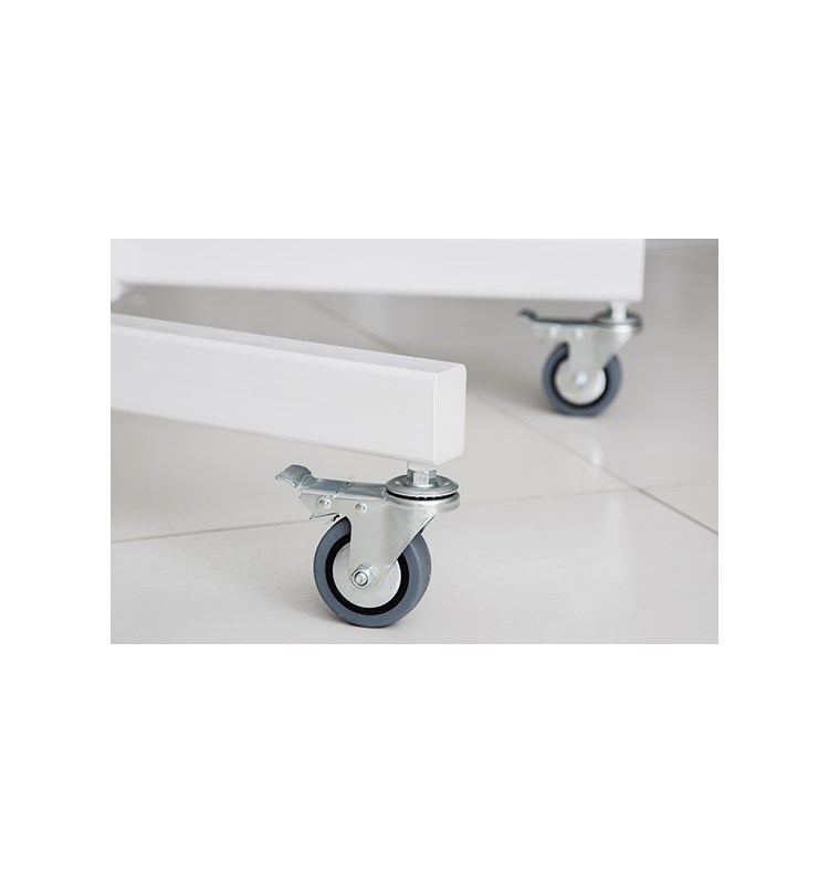 Mobile Clinal Examination Light with Battery